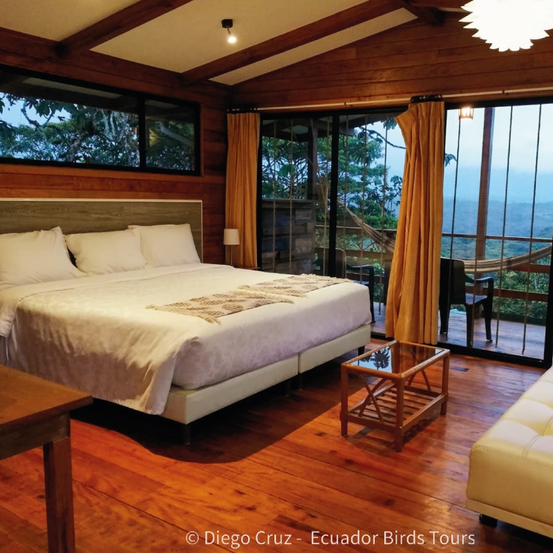 best bird lodges in ecuador by ecuador birds tours san isidro lodge