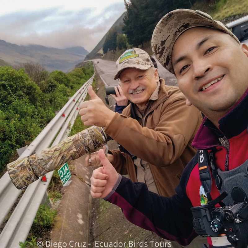 bird photo tours ecuador by ecuador birds tours 1