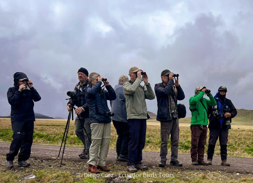 birding clients from ecuador birds tours (10)