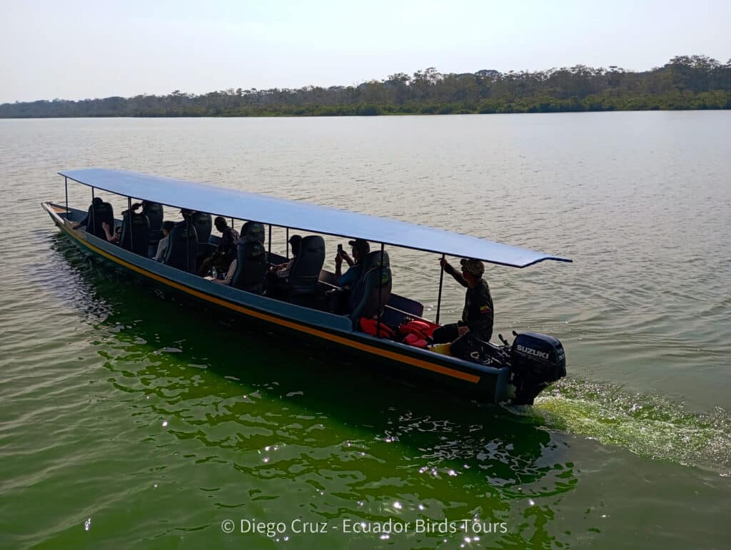 birding clients from ecuador birds tours (11)