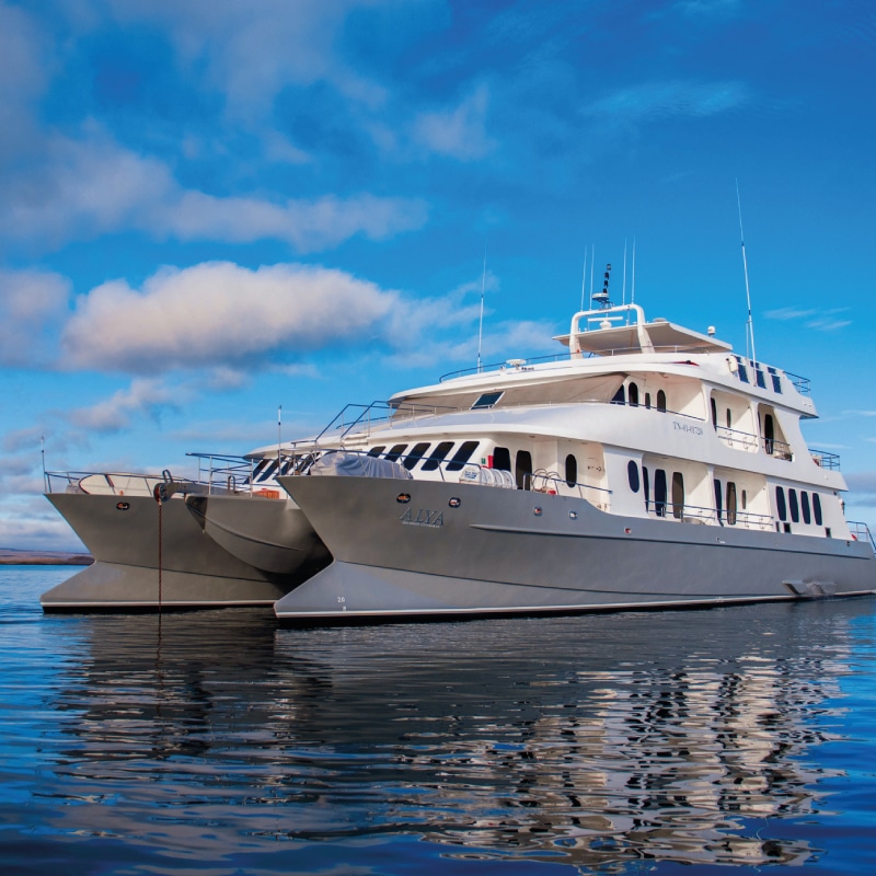 galapagos cruises alya luxury by ecuador birds tours (1)