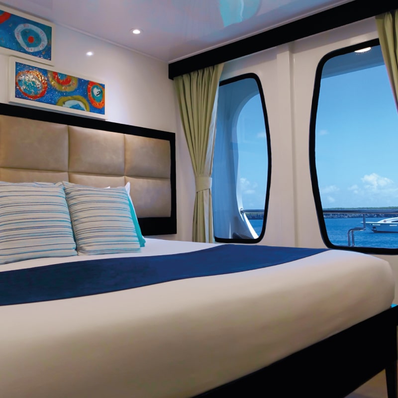 galapagos cruises alya luxury by ecuador birds tours (8)