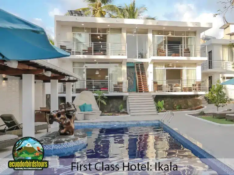 galapagos ikala lodge 237ccc19