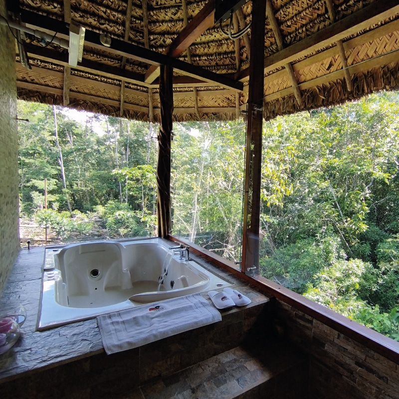 napo wildlife center amazon experience by ecuador birds tours (1)