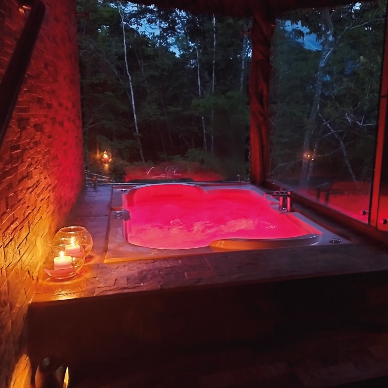 napo wildlife center amazon experience by ecuador birds tours (2)