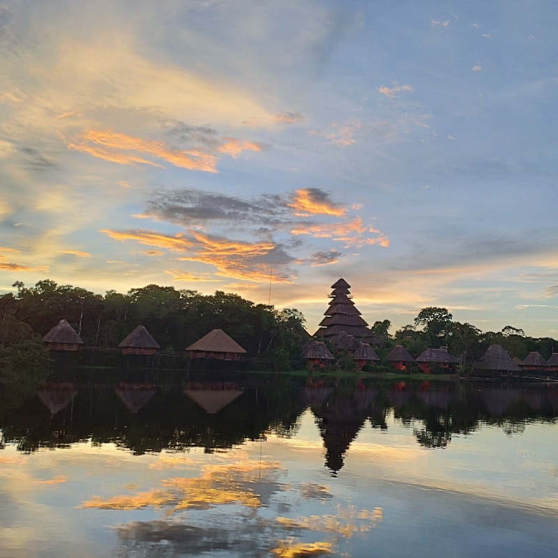 napo wildlife center amazon experience by ecuador birds tours (3)
