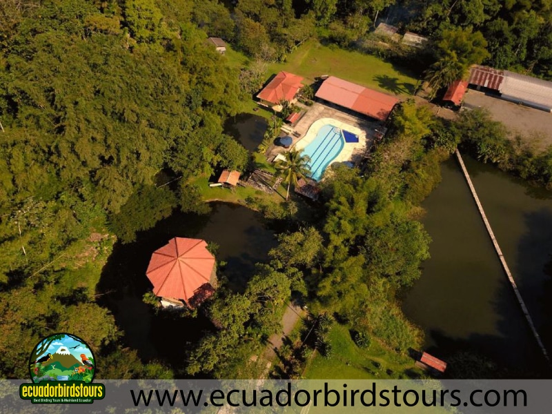 ojo de agua lodge birding lodges (1)
