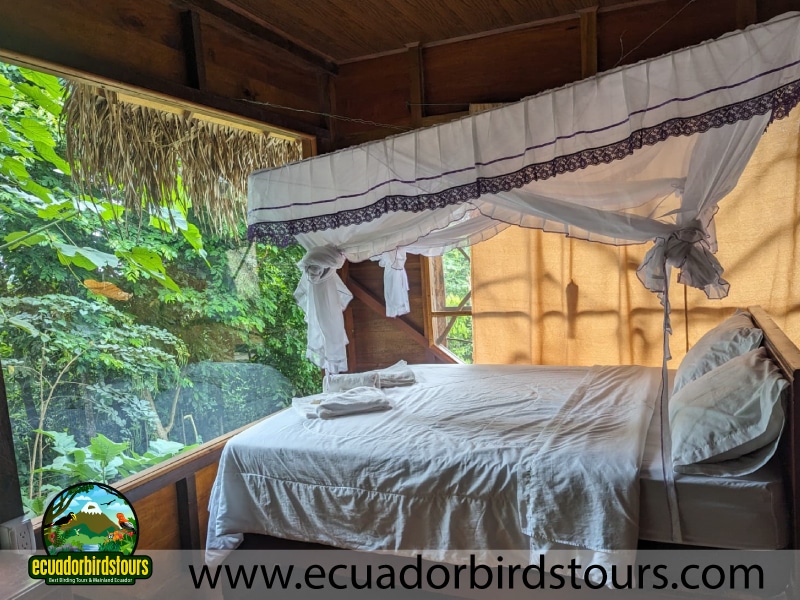 room nampi birding lodges