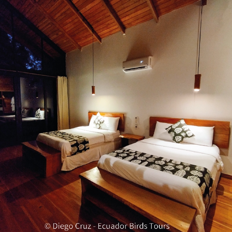 sacha amazon lodge by ecuador birds tours (21)