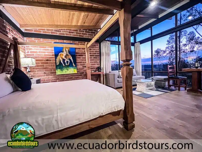 tailor made birding photography tours in ecuador 4 734c6485