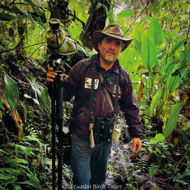 birding guides in ecuador roberto cedeno
