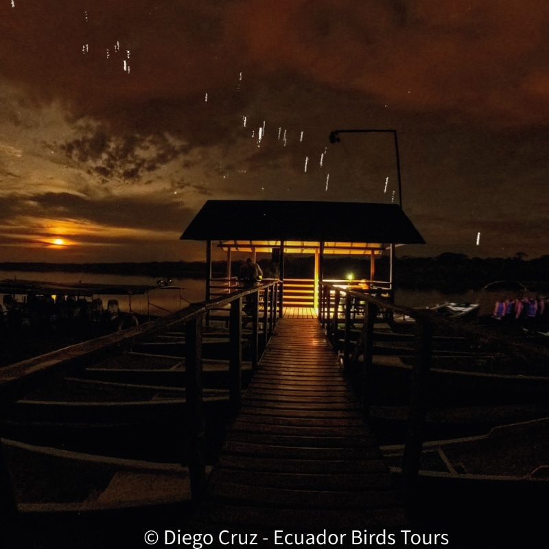 best birding lodges in ecuador by ecuador birds tours (3)
