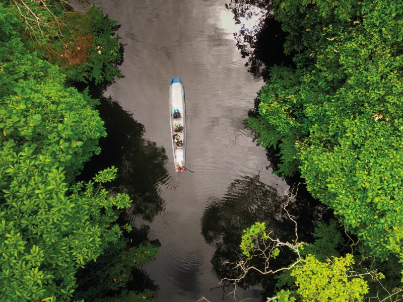 birding lodges in ecuador by ecuador birds tours (12)