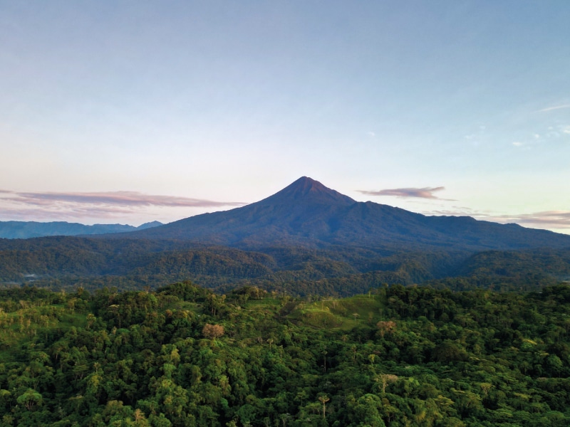 birding lodges in ecuador by ecuador birds tours (31)