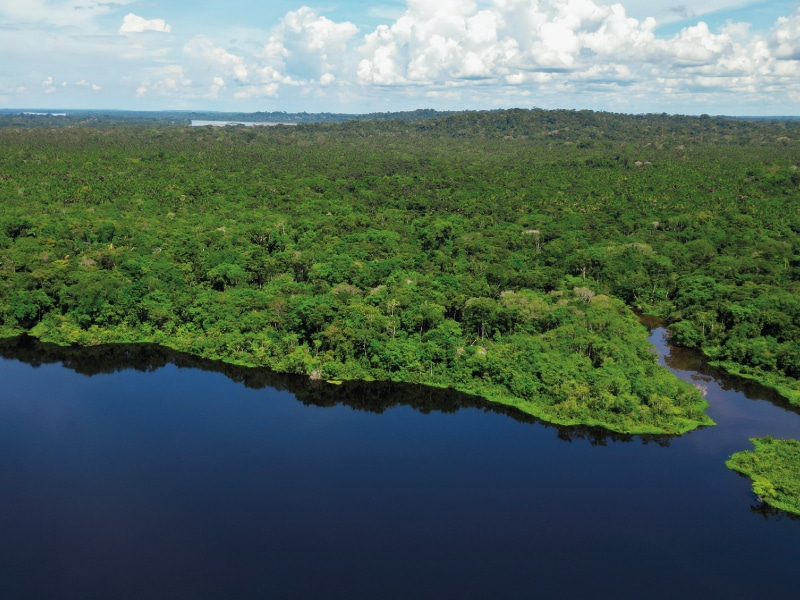 birding lodges in ecuador by ecuador birds tours (6)