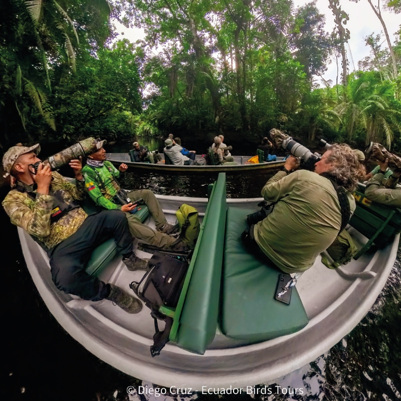 birding photography clients by ecuador birds tours (1)