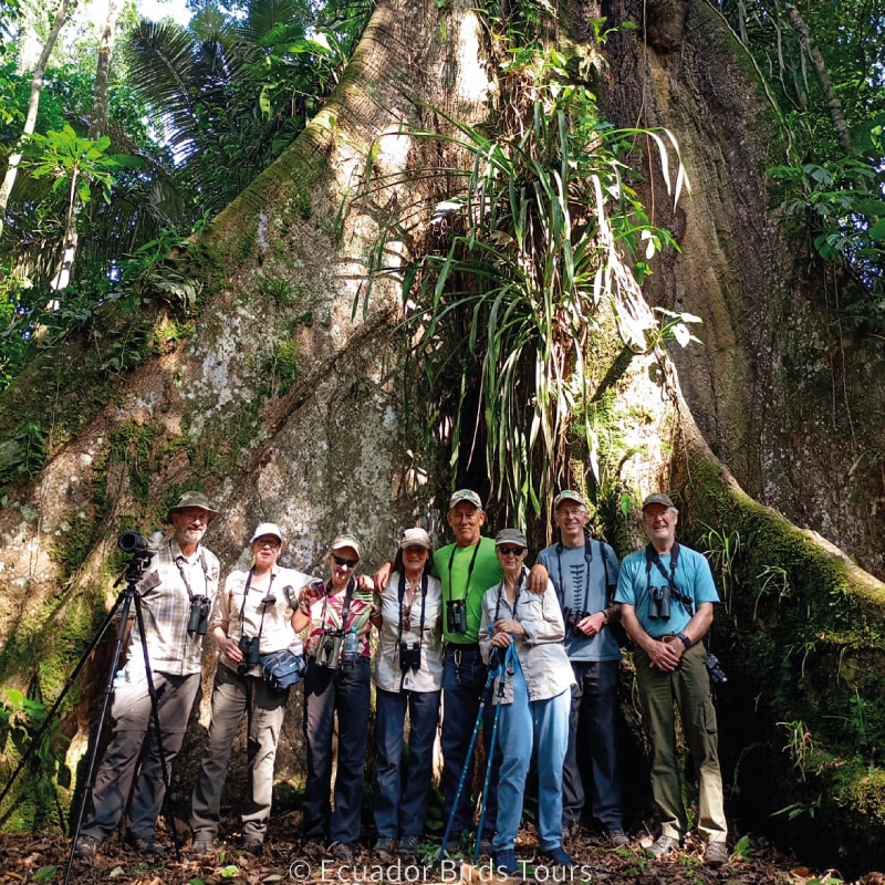 birding photography tours in ecuador by ecuador birds tours (4)