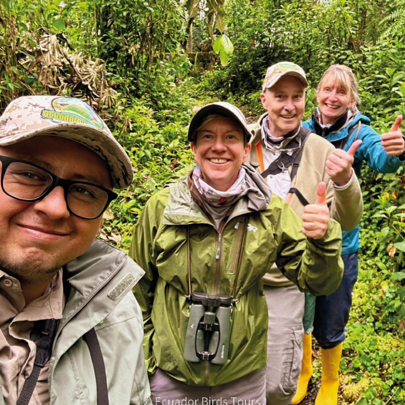 birding in the cloud forest ecuador