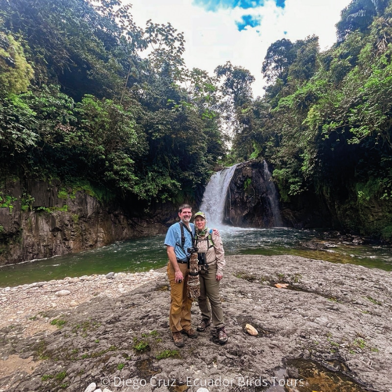 galapagos birding cruises by ecuador birds tours (1)