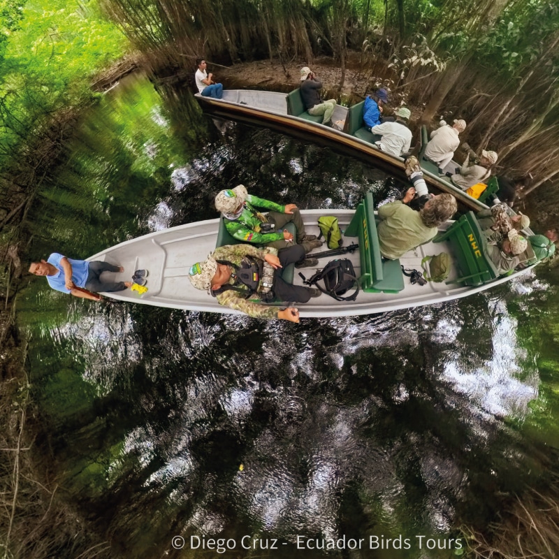 wildlife photography tours in ecuador by ecuador birds tours (7)