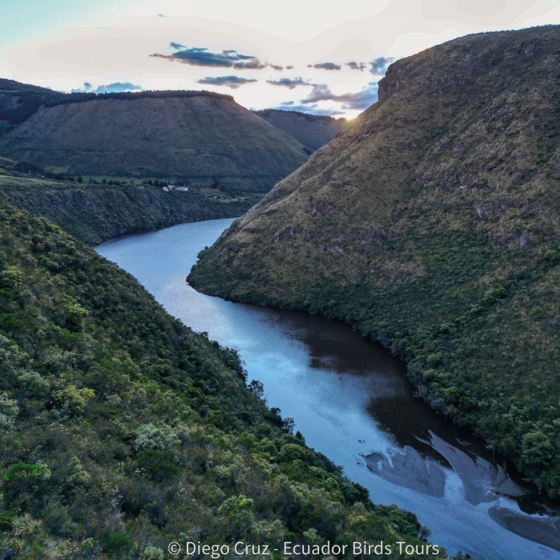 wildlife photography tours in ecuador by ecuador birds tours (7)
