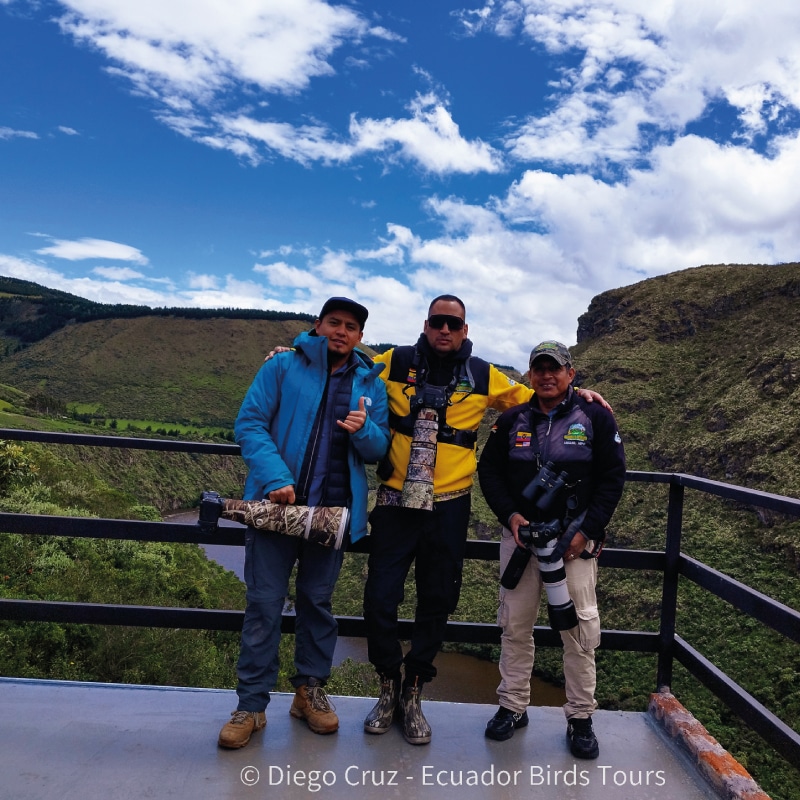 antisana condors conservation by ecuador birds tours (7)