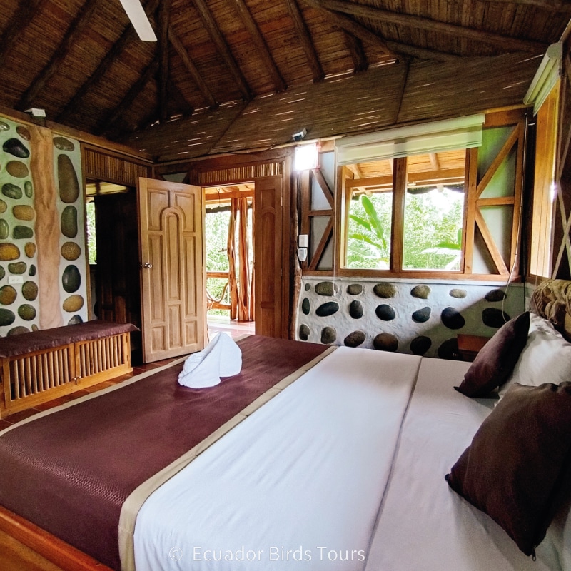 best bird lodges in ecuador by ecuador birds tours ama lodge