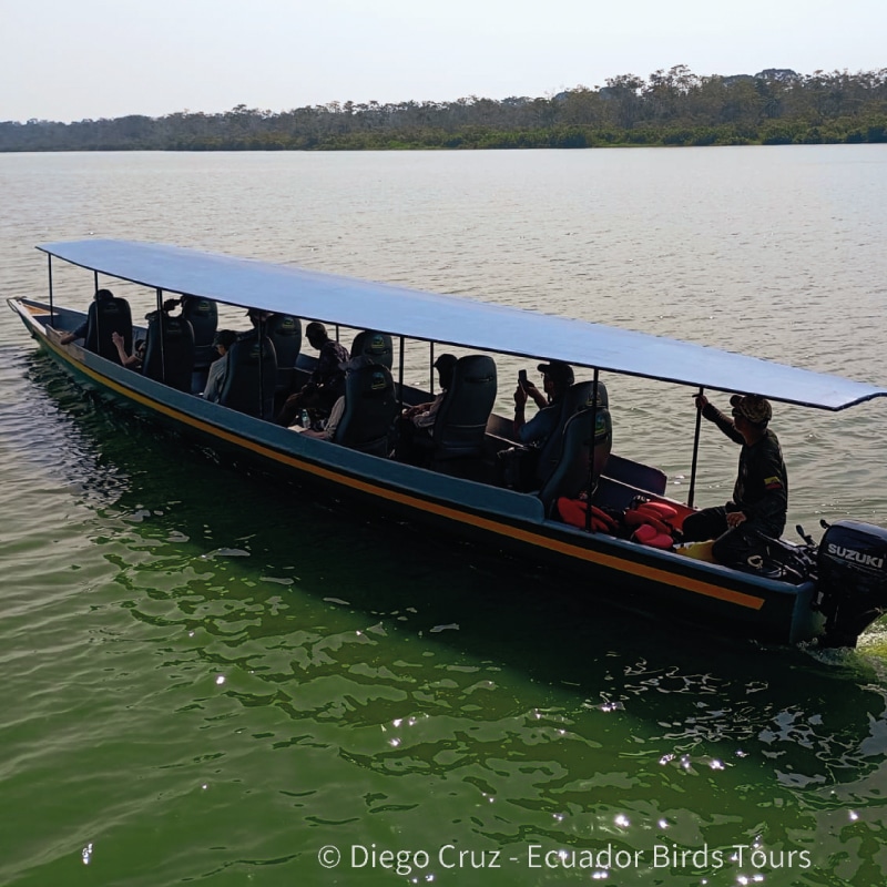 birding clients in ecuador by ecuador birds tours mesa de trabajo 1 copia 9