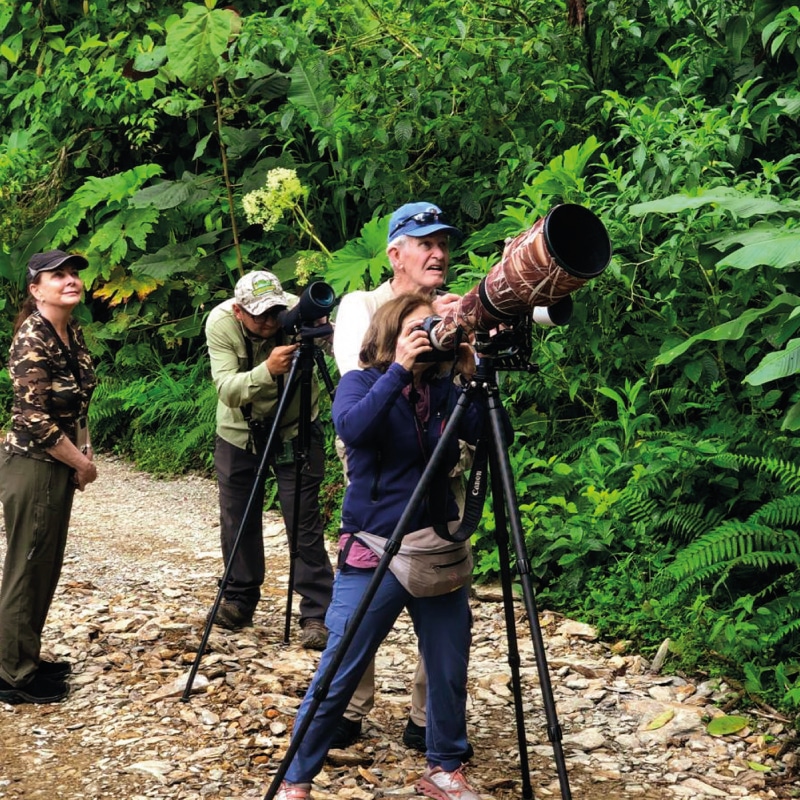 birding day tours from quito by ecuador birds tours (3)