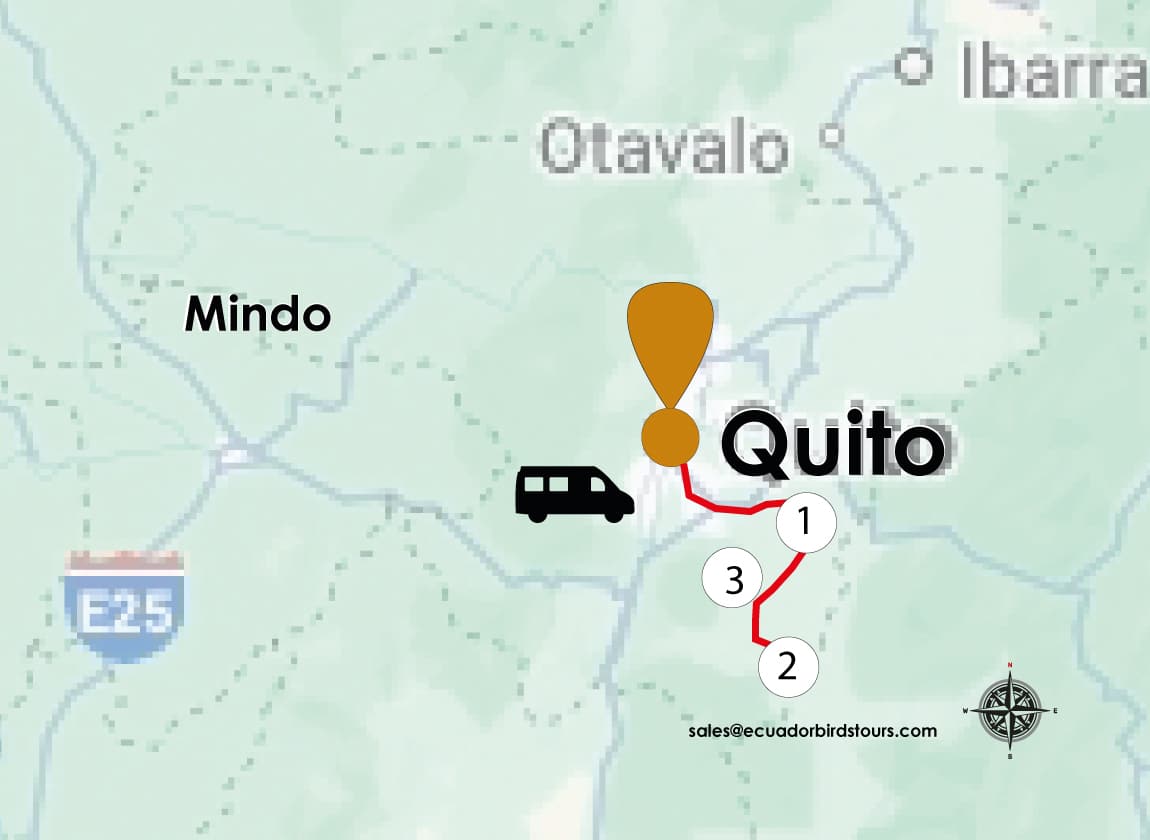 birding map day tour antisana