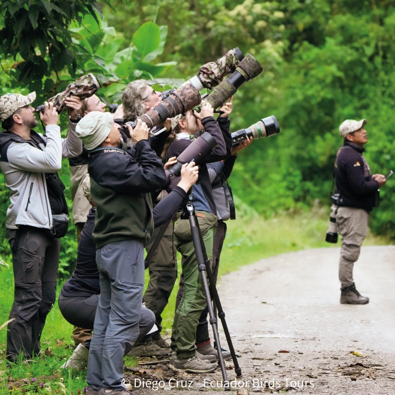 birding photography clients by ecuador birds tours (8)