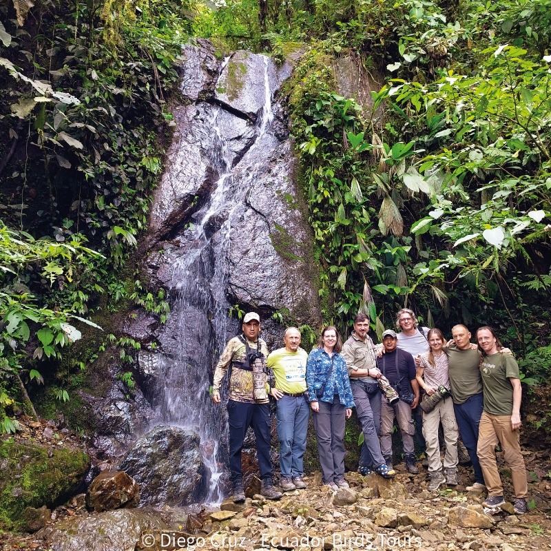 birding reports in ecuador by ecuador birds tours (8)
