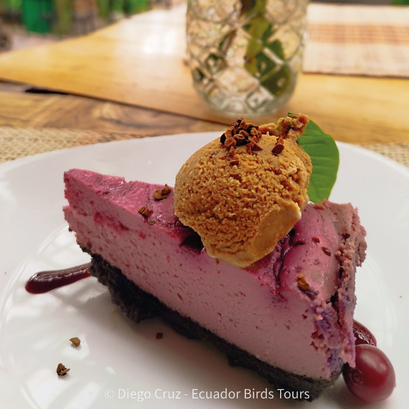 birdwatching in the andes jimenita, antisana and zuro loma (2)