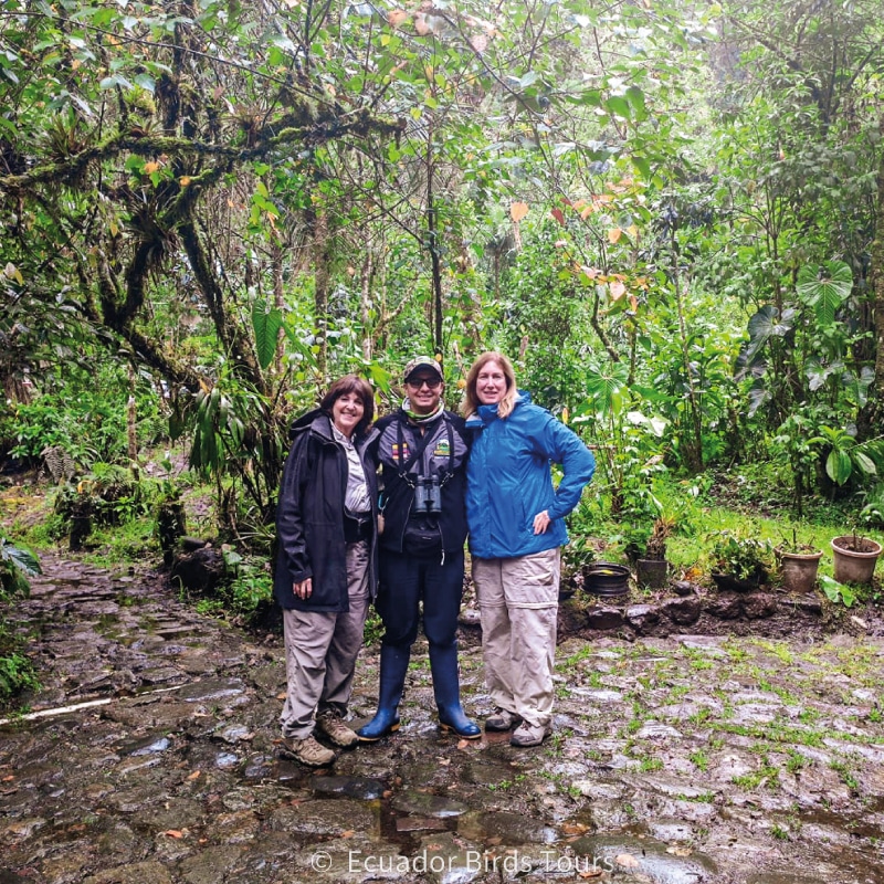custom birding photography tours in ecuador by ecuador birds tours (1)