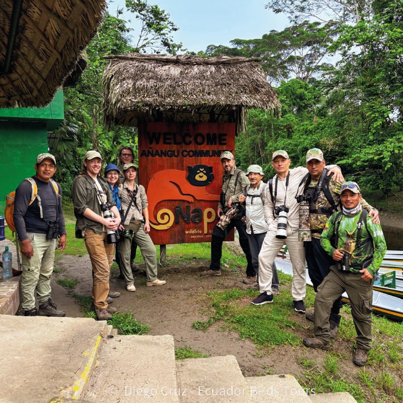 custom birding photography tours in ecuador by ecuador birds tours (21)