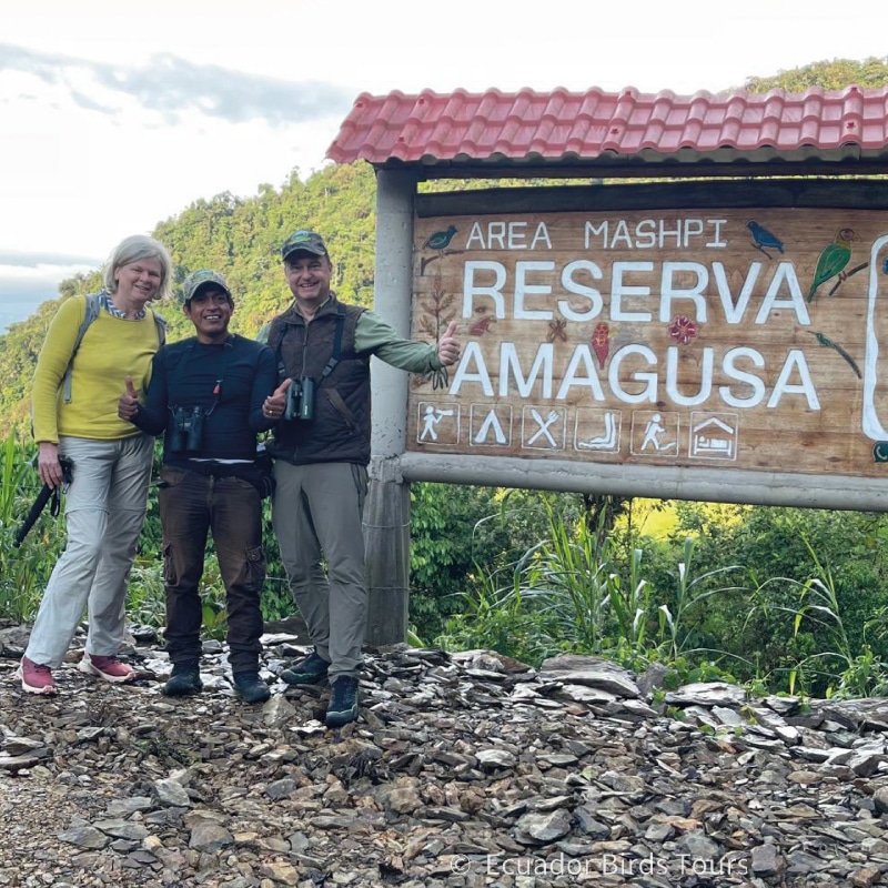 custom birding photography tours in ecuador by ecuador birds tours (35)