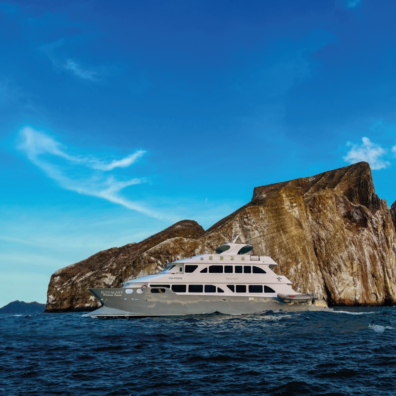 galapagos cruises ecogalaxy by ecuador birds tours (1)