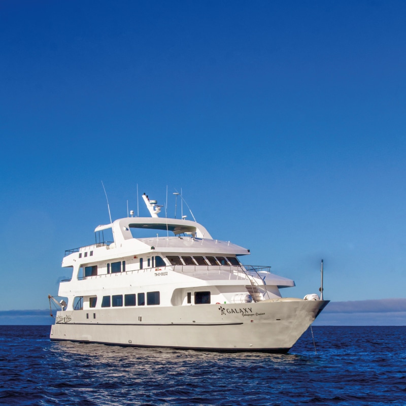 galapagos cruises galaxy yatch by ecuador birds tours (10)