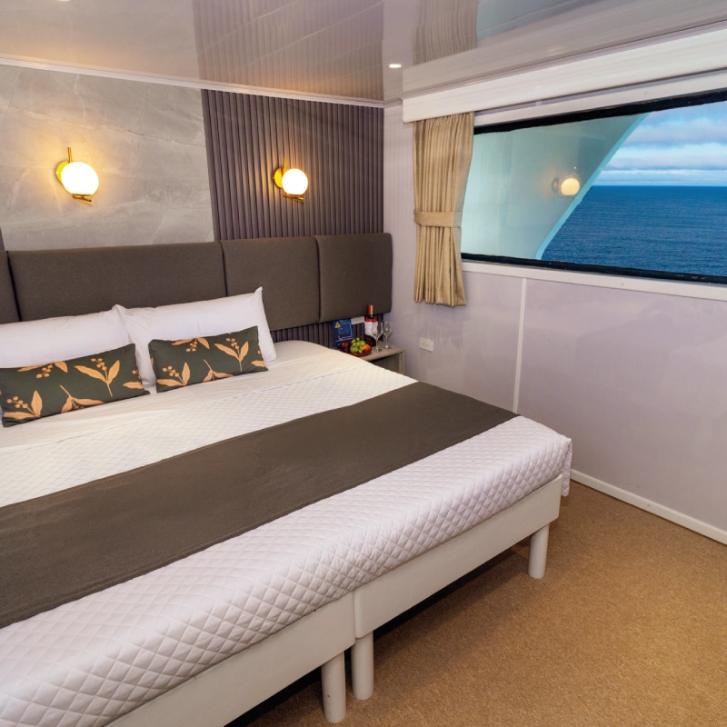 galapagos cruises galaxy yatch by ecuador birds tours (2)