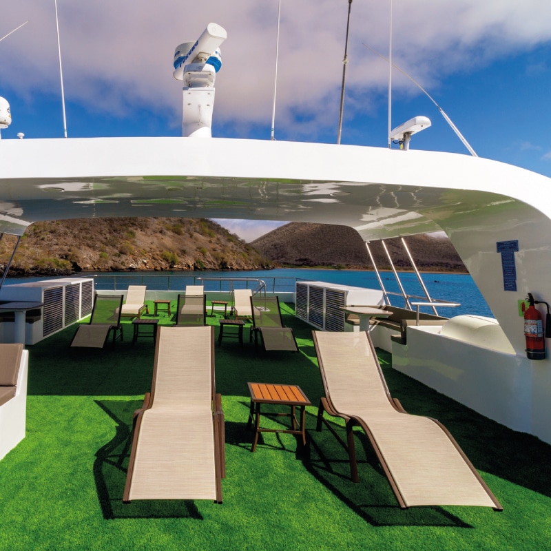 galapagos cruises galaxy yatch by ecuador birds tours (4)