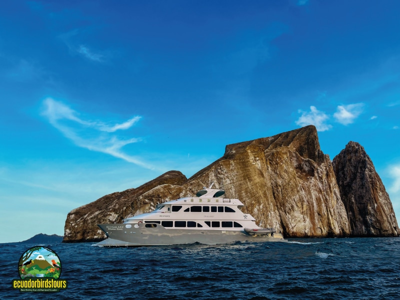 galapagos main photo by birding tours in ecuador (3)