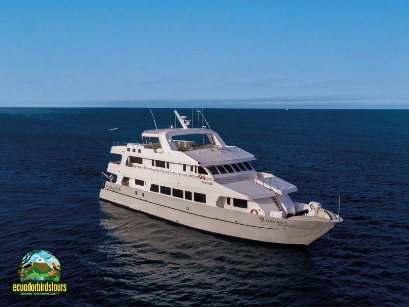 galapagos main photo by birding tours in ecuador (7)