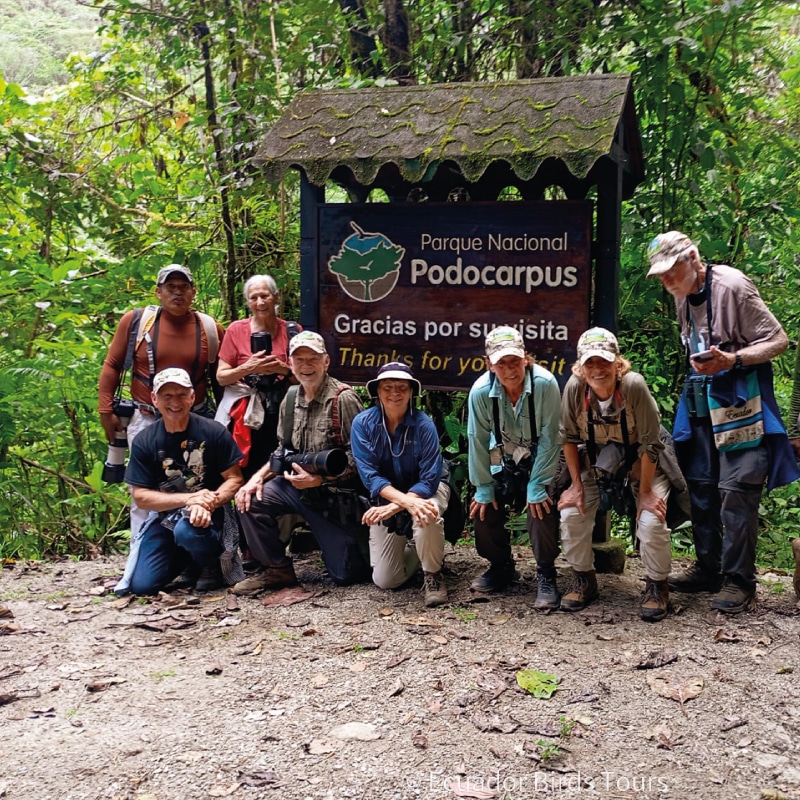 southern birdwatching photography tours in ecuador by ecuador birds tours (10)