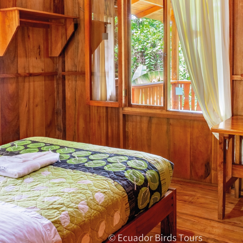 southern birdwatching photography tours in ecuador by ecuador birds tours (36)