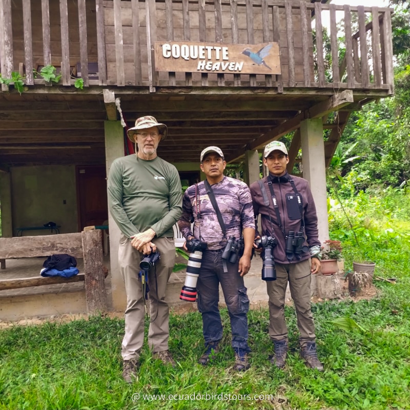 ecuador birds tours 11