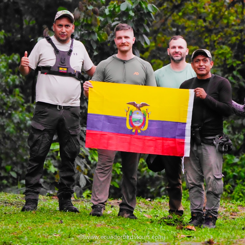 ecuador birds tours 17