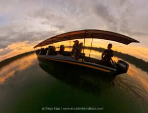 harpy eagle wildlife photography tours ecuador 10