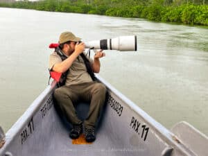 harpy eagle wildlife photography tours ecuador 13